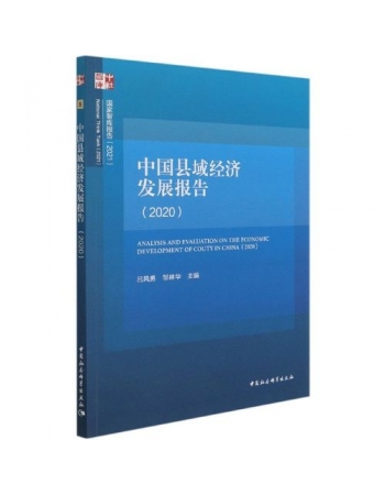 中国县域经济发展报告（2020）